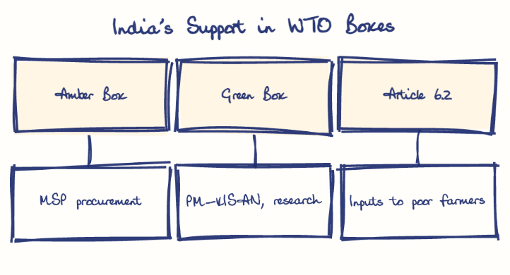 Hand-drawn diagram: India's Support in WTO Boxes. India's Support in WTO Boxes. Diagram (tree): India's Support in WTO Boxes; Amber Box; MSP procurement; Green Box; PM-KISAN, research; Article 6.2; Inputs to poor farmers