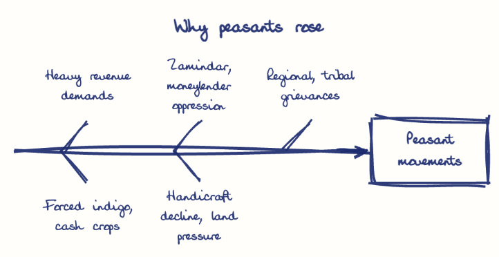 Hand-drawn diagram: Why peasants rose. Why peasants rose. Diagram (fishbone): Why peasants rose; Peasant movements; Heavy revenue demands; Forced indigo, cash crops; Zamindar, moneylender oppression; Handicraft decline, land pressure; Regional, tribal grievances