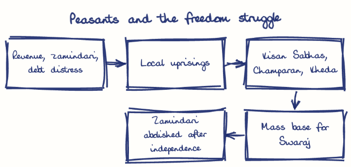 Hand-drawn diagram: Peasants and the freedom struggle. Peasants and the freedom struggle. Flow: Revenue, zamindari, debt distress → Local uprisings → Kisan Sabhas, Champaran, Kheda → Mass base for Swaraj → Zamindari abolished after independence