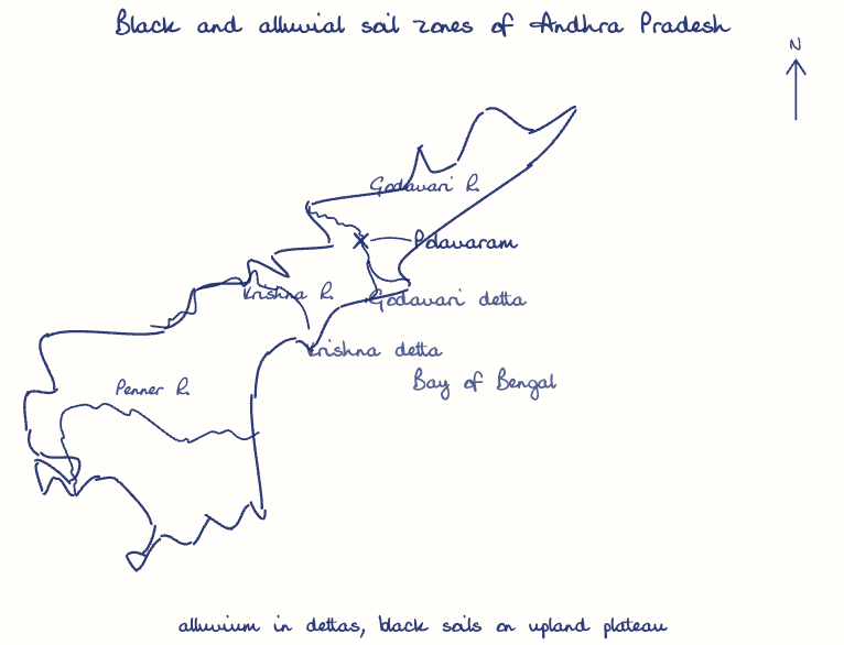 Hand-drawn map: Black and alluvial soil zones of Andhra Pradesh. Marked: Polavaram. Rivers: Godavari, Krishna, Penner.