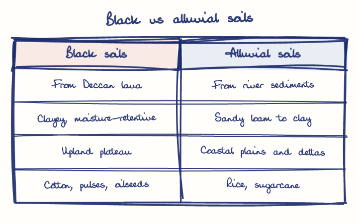 Hand-drawn diagram: Black vs alluvial soils. Black vs alluvial soils. Comparison of Black soils and Alluvial soils