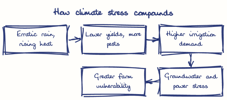 Hand-drawn diagram: How climate stress compounds. How climate stress compounds. Flow: Erratic rain, rising heat → Lower yields, more pests → Higher irrigation demand → Groundwater and power stress → Greater farm vulnerability