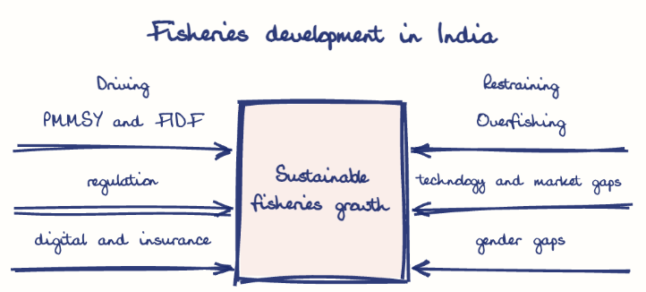 Hand-drawn diagram: Fisheries development in India. Fisheries development in India. Diagram (forcefield): Fisheries development in India; Sustainable fisheries growth; PMMSY and FIDF; regulation; digital and insurance; Overfishing; technology and market gaps; gender gaps