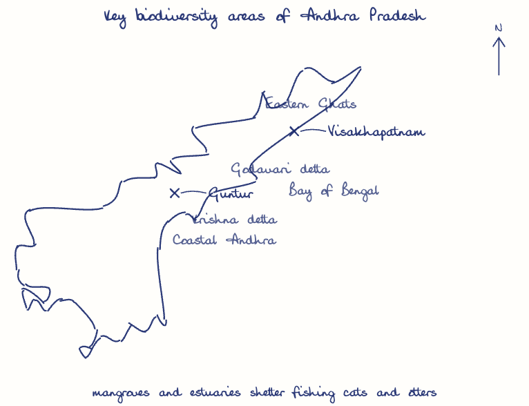 Hand-drawn map: Key biodiversity areas of Andhra Pradesh. Marked: Visakhapatnam, Guntur.