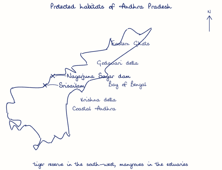 Hand-drawn map: Protected habitats of Andhra Pradesh. Marked: Srisailam, Nagarjuna Sagar dam.