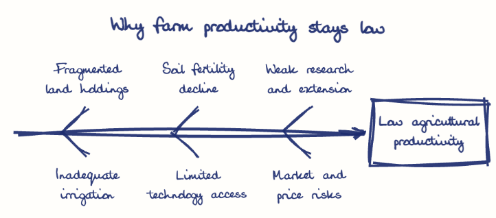 Hand-drawn diagram: Why farm productivity stays low. Why farm productivity stays low. Diagram (fishbone): Why farm productivity stays low; Low agricultural productivity; Fragmented land holdings; Inadequate irrigation; Soil fertility decline; Limited technology access; Weak research and extension; Market and price risks