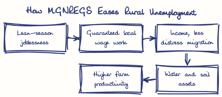 Hand-drawn diagram: How MGNREGS Eases Rural Unemployment. How MGNREGS Eases Rural Unemployment. Flow: Lean-season joblessness → Guaranteed local wage work → Income, less distress migration → Water and soil assets → Higher farm productivity