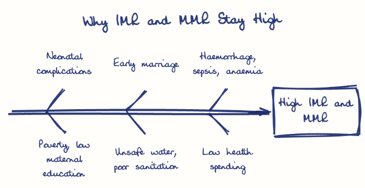 Hand-drawn diagram: Why IMR and MMR Stay High. Why IMR and MMR Stay High. Diagram (fishbone): Why IMR and MMR Stay High; High IMR and MMR; Neonatal complications; Poverty, low maternal education; Early marriage; Unsafe water, poor sanitation; Haemorrhage, sepsis, anaemia; Low health spending
