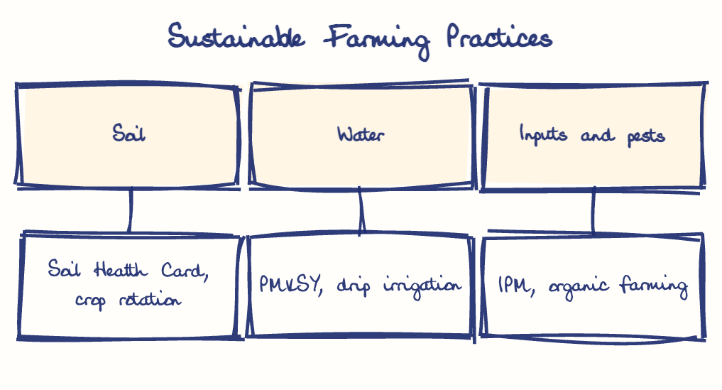 Hand-drawn diagram: Sustainable Farming Practices. Sustainable Farming Practices. Diagram (tree): Sustainable Farming Practices; Soil; Soil Health Card, crop rotation; Water; PMKSY, drip irrigation; Inputs and pests; IPM, organic farming