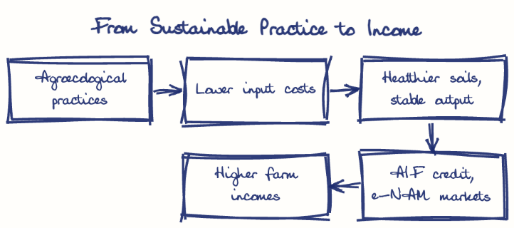 Hand-drawn diagram: From Sustainable Practice to Income. From Sustainable Practice to Income. Flow: Agroecological practices → Lower input costs → Healthier soils, stable output → AIF credit, e-NAM markets → Higher farm incomes