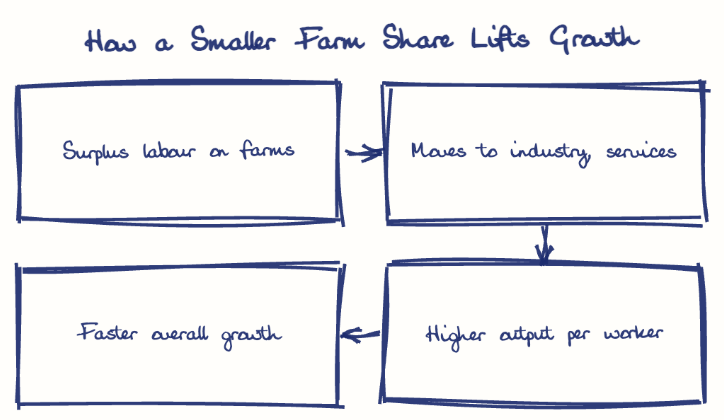 Hand-drawn diagram: How a Smaller Farm Share Lifts Growth. How a Smaller Farm Share Lifts Growth. Flow: Surplus labour on farms → Moves to industry, services → Higher output per worker → Faster overall growth