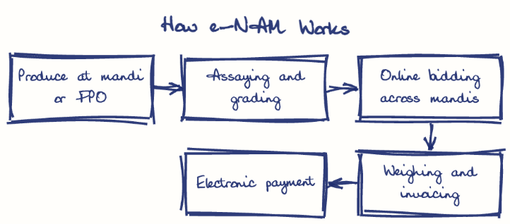 Hand-drawn diagram: How e-NAM Works. How e-NAM Works. Flow: Produce at mandi or FPO → Assaying and grading → Online bidding across mandis → Weighing and invoicing → Electronic payment