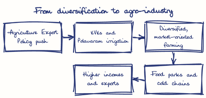 Hand-drawn diagram: From diversification to agro-industry. From diversification to agro-industry. Flow: Agriculture Export Policy push → KVKs and Polavaram irrigation → Diversified, market-oriented farming → Food parks and cold chains → Higher incomes and exports