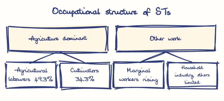 Hand-drawn diagram: Occupational structure of STs. Occupational structure of STs. Diagram (tree): Occupational structure of STs; Agriculture dominant; Agricultural labourers 49.3%; Cultivators 34.3%; Other work; Marginal workers rising; Household industry, others limited