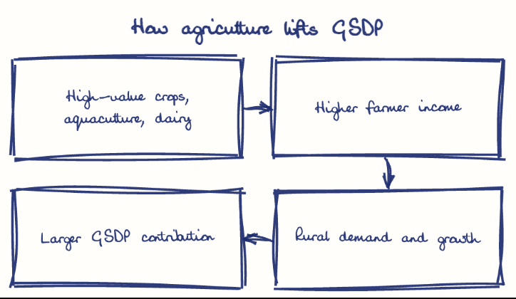 Hand-drawn diagram: How agriculture lifts GSDP. How agriculture lifts GSDP. Flow: High-value crops, aquaculture, dairy → Higher farmer income → Rural demand and growth → Larger GSDP contribution