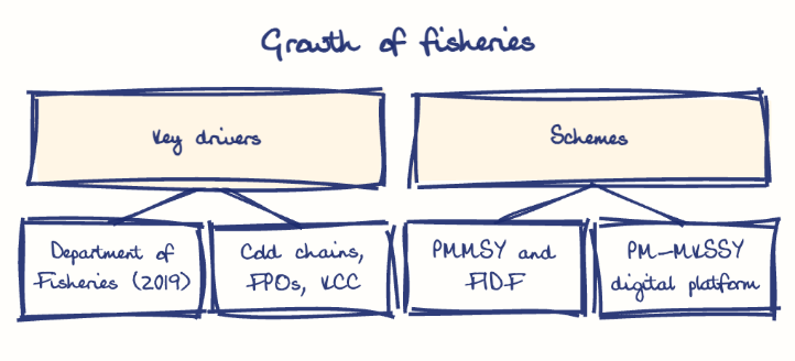 Hand-drawn diagram: Growth of fisheries. Growth of fisheries. Diagram (tree): Growth of fisheries; Key drivers; Department of Fisheries (2019); Cold chains, FPOs, KCC; Schemes; PMMSY and FIDF; PM-MKSSY digital platform