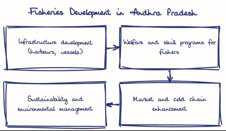 Hand-drawn diagram: Fisheries Development in Andhra Pradesh. Fisheries Development in Andhra Pradesh. Flow: Infrastructure development (harbours, vessels) → Welfare and skill programs for fishers → Market and cold chain enhancement → Sustainability and environmental management