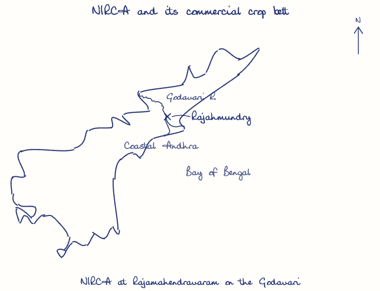 Hand-drawn map: NIRCA and its commercial crop belt. Marked: Rajahmundry. Rivers: Godavari.