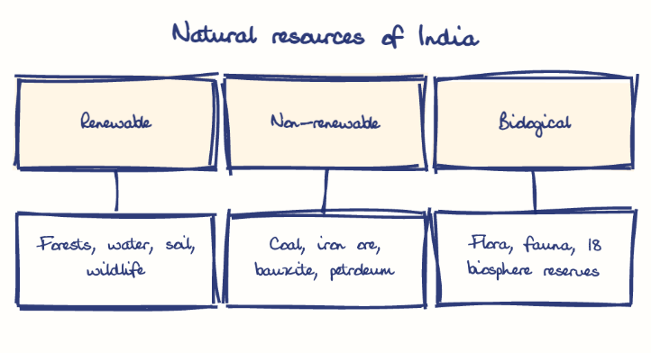 Hand-drawn diagram: Natural resources of India. Natural resources of India. Diagram (tree): Natural resources of India; Renewable; Forests, water, soil, wildlife; Non-renewable; Coal, iron ore, bauxite, petroleum; Biological; Flora, fauna, 18 biosphere reserves