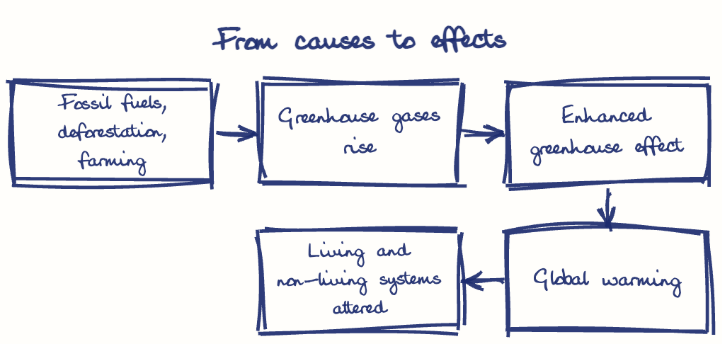 Hand-drawn diagram: From causes to effects. From causes to effects. Flow: Fossil fuels, deforestation, farming → Greenhouse gases rise → Enhanced greenhouse effect → Global warming → Living and non-living systems altered
