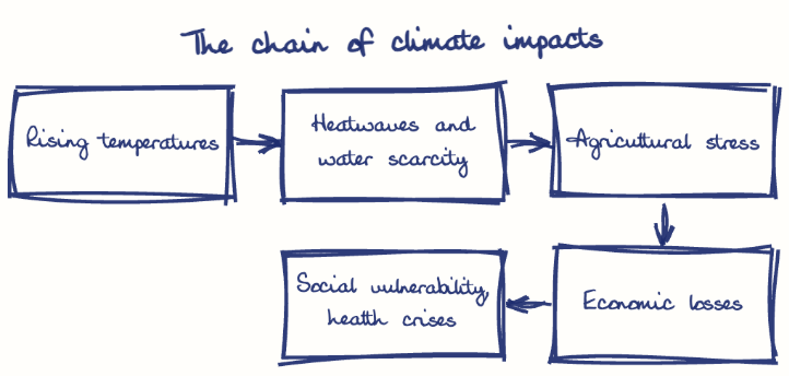Hand-drawn diagram: The chain of climate impacts. The chain of climate impacts. Flow: Rising temperatures → Heatwaves and water scarcity → Agricultural stress → Economic losses → Social vulnerability, health crises