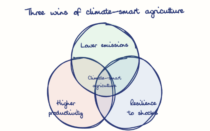 Hand-drawn diagram: Three wins of climate-smart agriculture. Three wins of climate-smart agriculture. Venn diagram: Higher productivity, Resilience to shocks, Lower emissions; overlap: Climate-smart agriculture