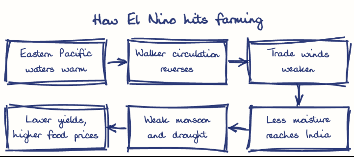 Hand-drawn diagram: How El Nino hits farming. How El Nino hits farming. Flow: Eastern Pacific waters warm → Walker circulation reverses → Trade winds weaken → Less moisture reaches India → Weak monsoon and drought → Lower yields, higher food prices