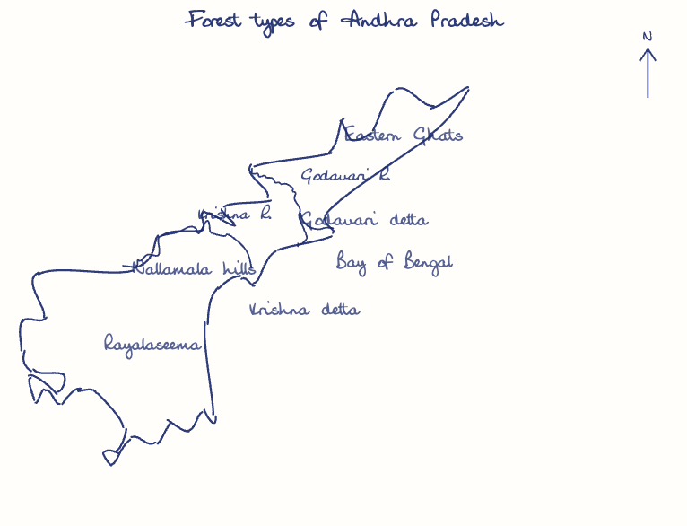 Hand-drawn map: Forest types of Andhra Pradesh. Marked: . Rivers: Godavari, Krishna.