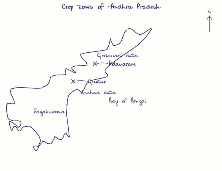 Hand-drawn map: Crop zones of Andhra Pradesh. Marked: Guntur, Polavaram.