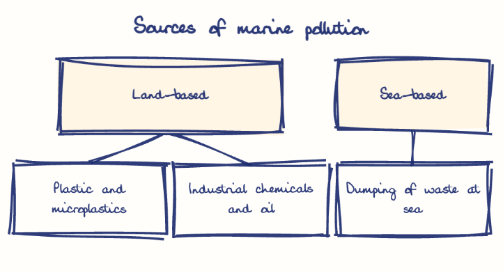 Hand-drawn diagram: Sources of marine pollution. Sources of marine pollution. Diagram (tree): Sources of marine pollution; Land-based; Plastic and microplastics; Industrial chemicals and oil; Sea-based; Dumping of waste at sea