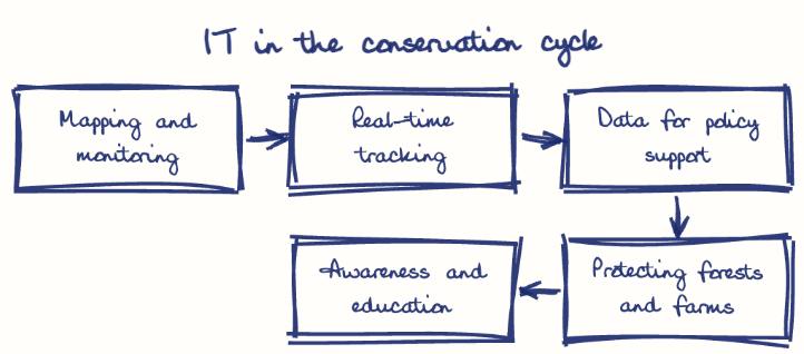 Hand-drawn diagram: IT in the conservation cycle. IT in the conservation cycle. Flow: Mapping and monitoring → Real-time tracking → Data for policy support → Protecting forests and farms → Awareness and education