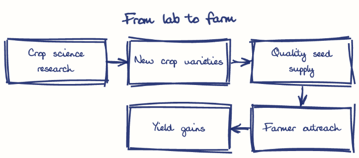 Hand-drawn diagram: From lab to farm. From lab to farm. Flow: Crop science research → New crop varieties → Quality seed supply → Farmer outreach → Yield gains