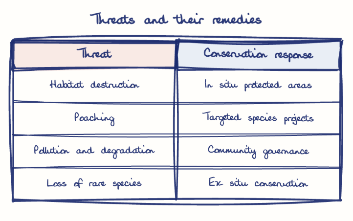 Hand-drawn diagram: Threats and their remedies. Threats and their remedies. Comparison of Threat and Conservation response