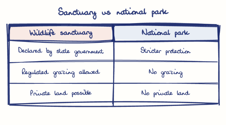 Hand-drawn diagram: Sanctuary vs national park. Sanctuary vs national park. Comparison of Wildlife sanctuary and National park