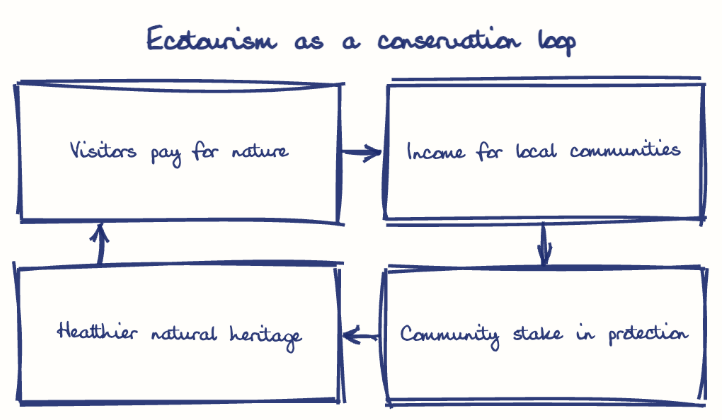 Hand-drawn diagram: Ecotourism as a conservation loop. Ecotourism as a conservation loop. Flow: Visitors pay for nature → Income for local communities → Community stake in protection → Healthier natural heritage → (back to start)
