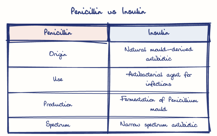 Hand-drawn diagram: Penicillin vs Insulin. Penicillin vs Insulin. Comparison of Penicillin and Insulin