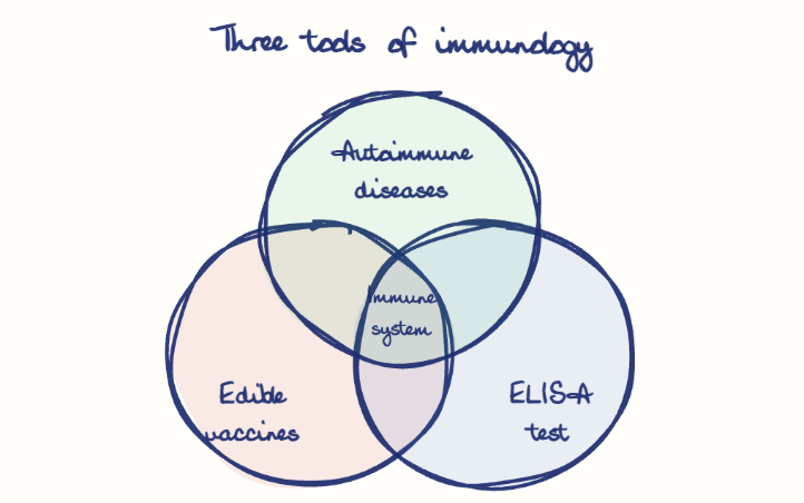Hand-drawn diagram: Three tools of immunology. Three tools of immunology. Venn diagram: Edible vaccines, ELISA test, Autoimmune diseases; overlap: Immune system