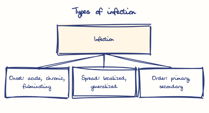 Hand-drawn diagram: Types of infection. Types of infection. Diagram (tree): Types of infection; Infection; Onset: acute, chronic, fulminating; Spread: localized, generalized; Order: primary, secondary