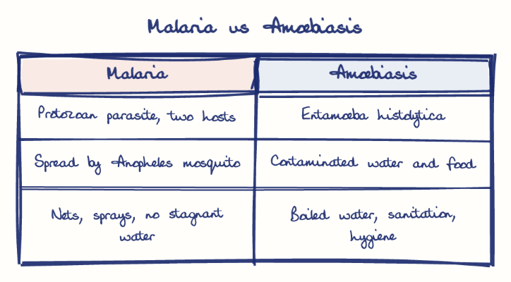 Hand-drawn diagram: Malaria vs Amoebiasis. Malaria vs Amoebiasis. Comparison of Malaria and Amoebiasis