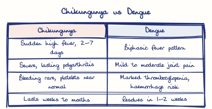 Hand-drawn diagram: Chikungunya vs Dengue. Chikungunya vs Dengue. Comparison of Chikungunya and Dengue