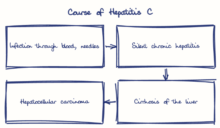 Hand-drawn diagram: Course of Hepatitis C. Course of Hepatitis C. Flow: Infection through blood, needles → Silent chronic hepatitis → Cirrhosis of the liver → Hepatocellular carcinoma