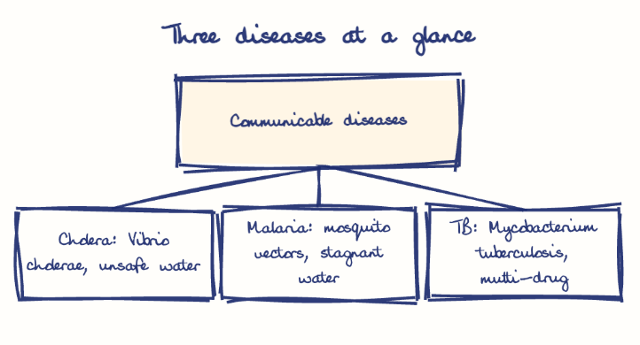 Hand-drawn diagram: Three diseases at a glance. Three diseases at a glance. Diagram (tree): Three diseases at a glance; Communicable diseases; Cholera: Vibrio cholerae, unsafe water; Malaria: mosquito vectors, stagnant water; TB: Mycobacterium tuberculosis, multi-drug