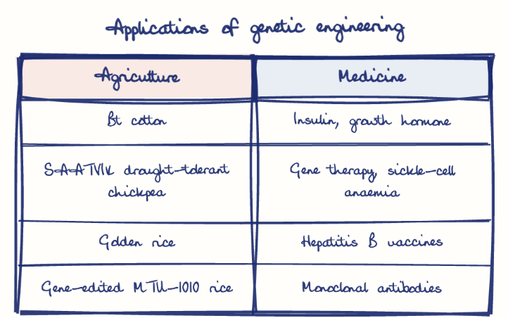 Hand-drawn diagram: Applications of genetic engineering. Applications of genetic engineering. Comparison of Agriculture and Medicine