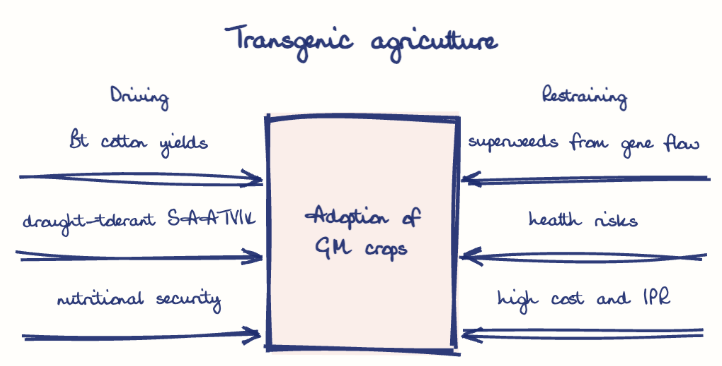 Hand-drawn diagram: Transgenic agriculture. Transgenic agriculture. Diagram (forcefield): Transgenic agriculture; Adoption of GM crops; Bt cotton yields; drought-tolerant SAATVIK; nutritional security; superweeds from gene flow; health risks; high cost and IPR