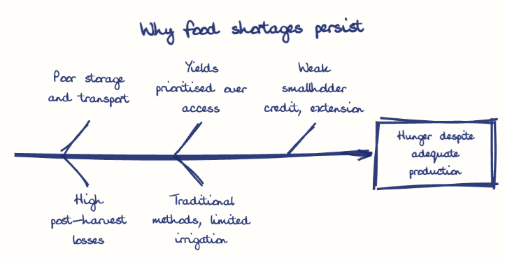 Hand-drawn diagram: Why food shortages persist. Why food shortages persist. Diagram (fishbone): Why food shortages persist; Hunger despite adequate production; Poor storage and transport; High post-harvest losses; Yields prioritised over access; Traditional methods, limited irrigation; Weak smallholder credit, extension