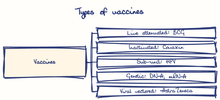 Hand-drawn diagram: Types of vaccines. Types of vaccines. Diagram (tree): Types of vaccines; Vaccines; Live attenuated: BCG; Inactivated: Covaxin; Sub-unit: HPV; Genetic: DNA, mRNA; Viral vectored: AstraZeneca