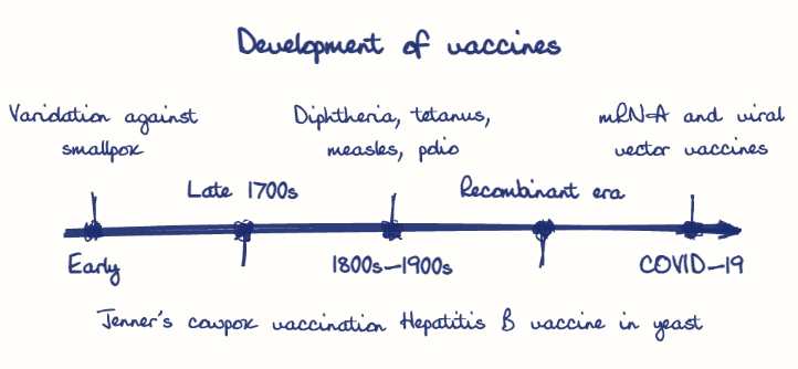 Hand-drawn diagram: Development of vaccines. Development of vaccines. Diagram (timeline): Development of vaccines; Early; Variolation against smallpox; Late 1700s; Jenner's cowpox vaccination; 1800s-1900s; Diphtheria, tetanus, measles, polio; Recombinant era; Hepatitis B vaccine in yeast; COVID-19; mRNA and viral vector vaccines