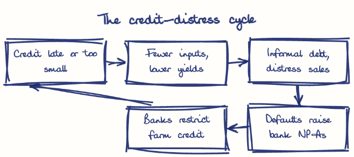 Hand-drawn diagram: The credit-distress cycle. The credit-distress cycle. Flow: Credit late or too small → Fewer inputs, lower yields → Informal debt, distress sales → Defaults raise bank NPAs → Banks restrict farm credit → (back to start)