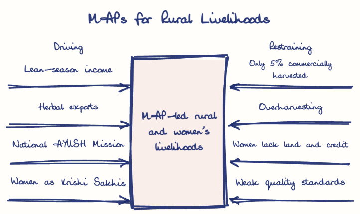 Hand-drawn diagram: MAPs for Rural Livelihoods. MAPs for Rural Livelihoods. Diagram (forcefield): MAPs for Rural Livelihoods; MAP-led rural and women's livelihoods; Lean-season income; Herbal exports; National AYUSH Mission; Women as Krishi Sakhis; Only 5% commercially harvested; Overharvesting; Women lack land and credit; Weak quality standards