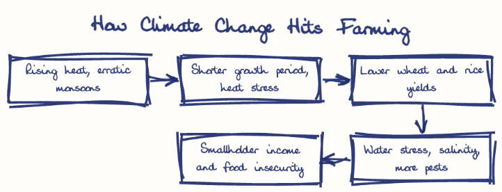 Hand-drawn diagram: How Climate Change Hits Farming. How Climate Change Hits Farming. Flow: Rising heat, erratic monsoons → Shorter growth period, heat stress → Lower wheat and rice yields → Water stress, salinity, more pests → Smallholder income and food insecurity